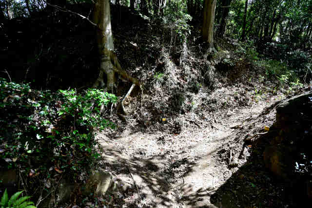 ���c�鉺��Ԑ_�Љ�����