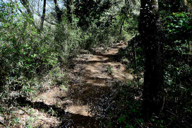 ���c�鉺��Ԑ_�ГW�]������