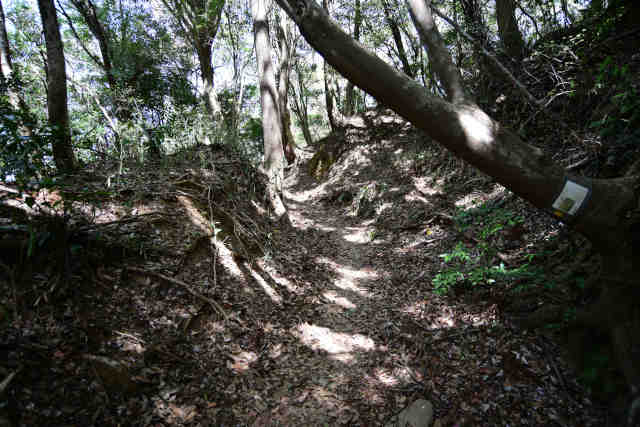 ���c�鉺��Ԑ_�Иe�o�R��