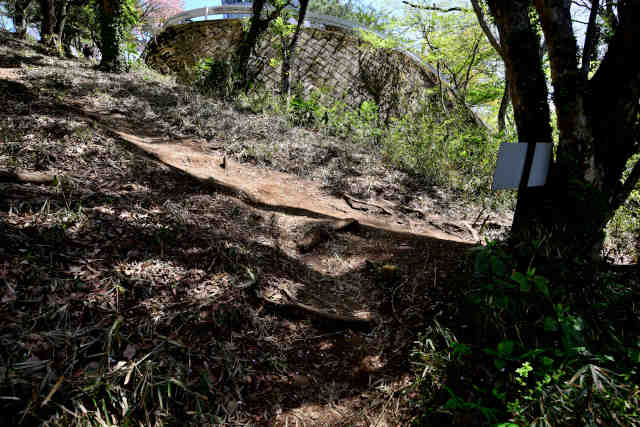 ���c��T�u�R�[�X�R���O