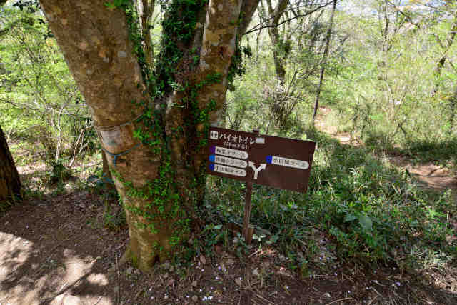 ���c��T�u�R�[�X�ē��W