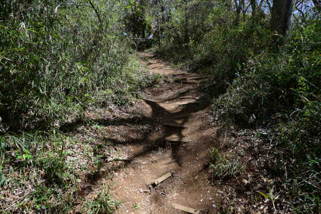 ���c��T�u�R�[�X�o�R��