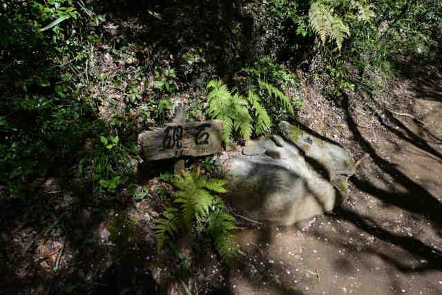 ���c�錥��