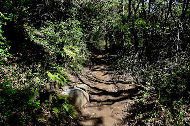 ���c�錥�ΑO