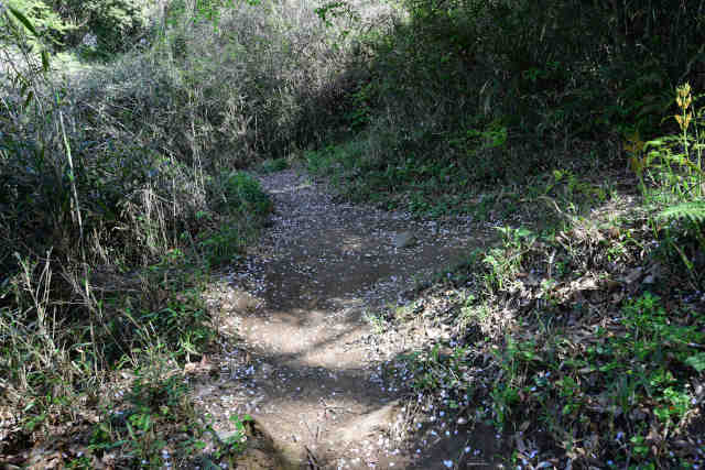 ���c��W�]���O