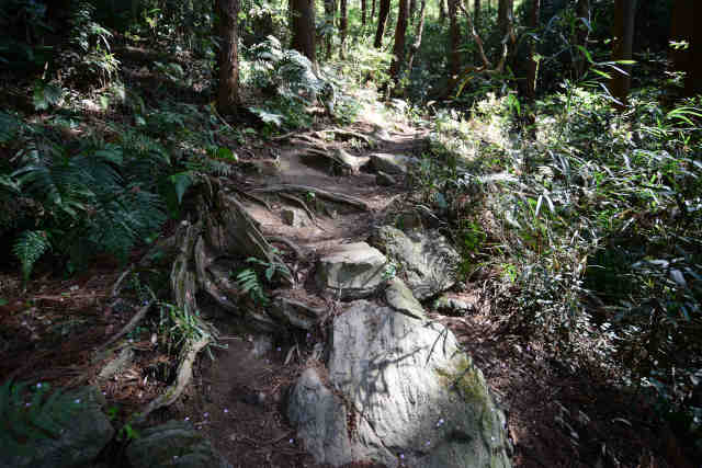 ���c�鏃�����������