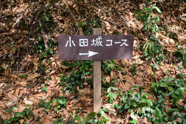 ���c��o�R���ē��W