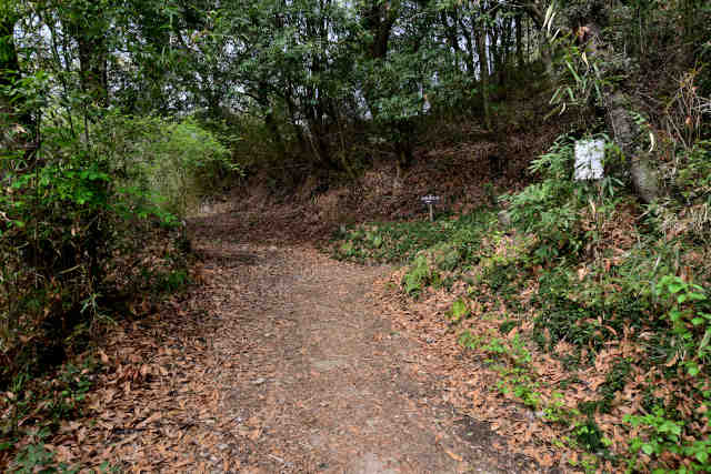 ���c��o�R���O