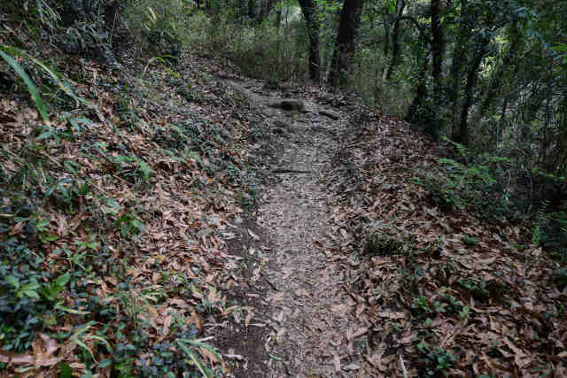 ���c��o�R����