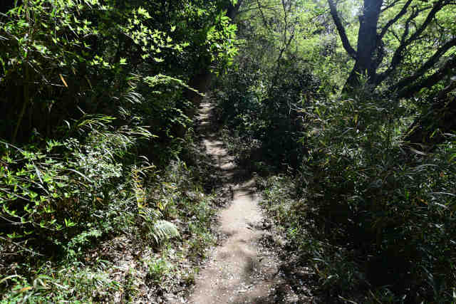 ���c��o�R��