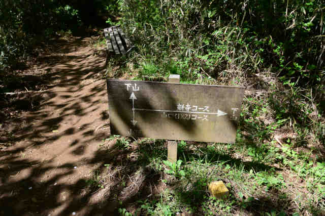 ���c��R���R�[�X�i�Q�j�����ē��W