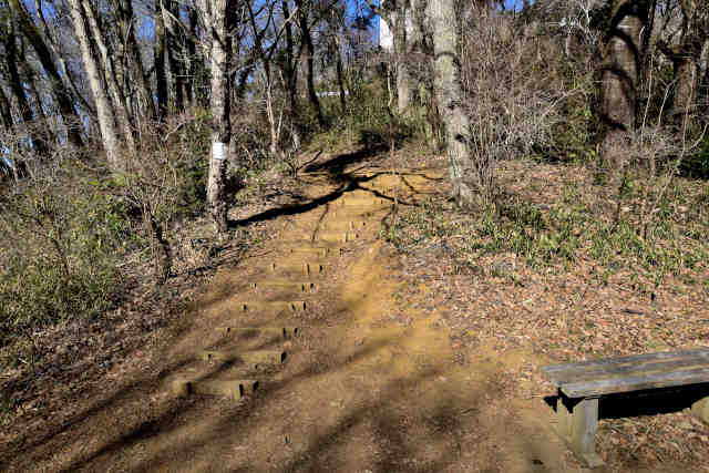 �R���o�R��