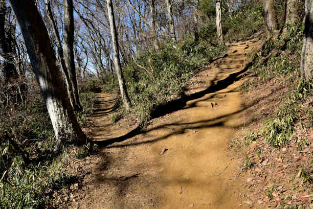 �R�����R�[�X����