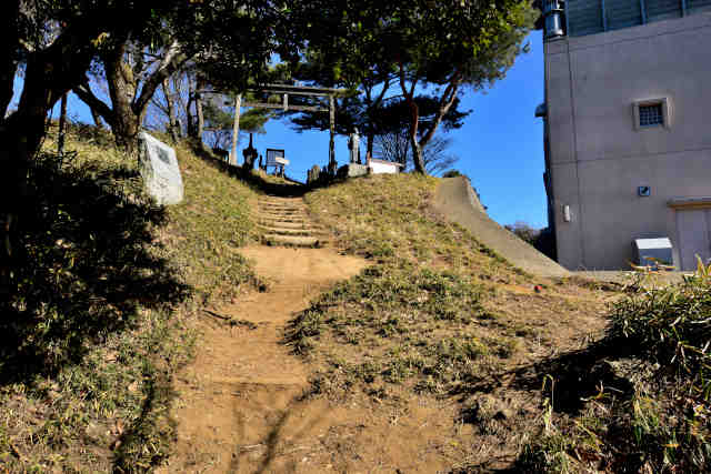 �R�����R�[�X����