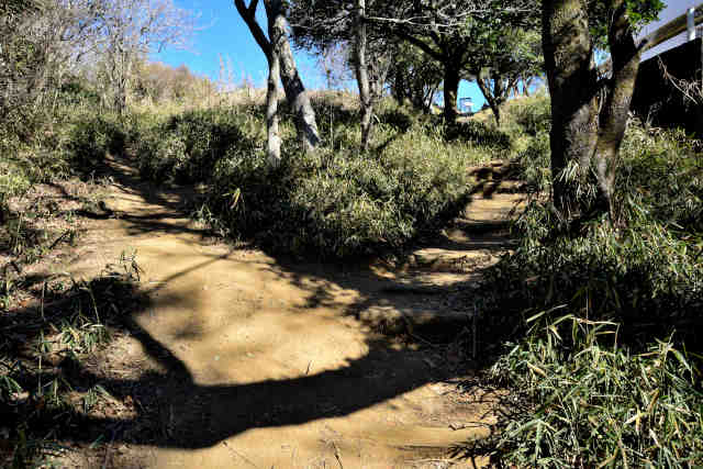 �R�����R�[�X����