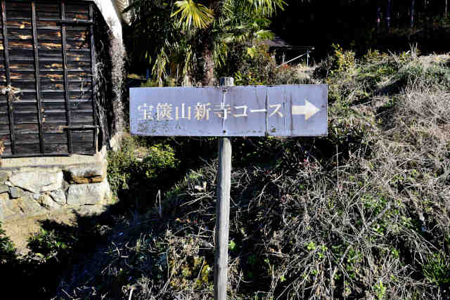 �V���R�[�X�E�܈ē��W