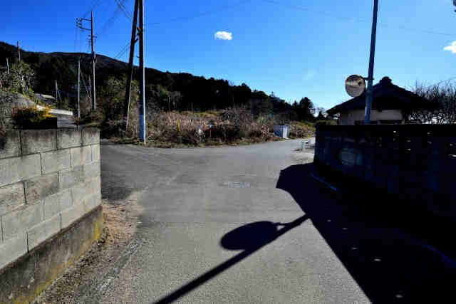 �V���R�[�X�\���H