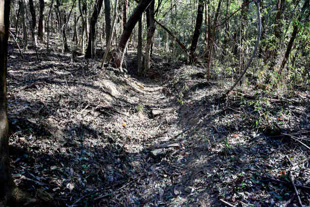 �V���R�[�X�o�R��