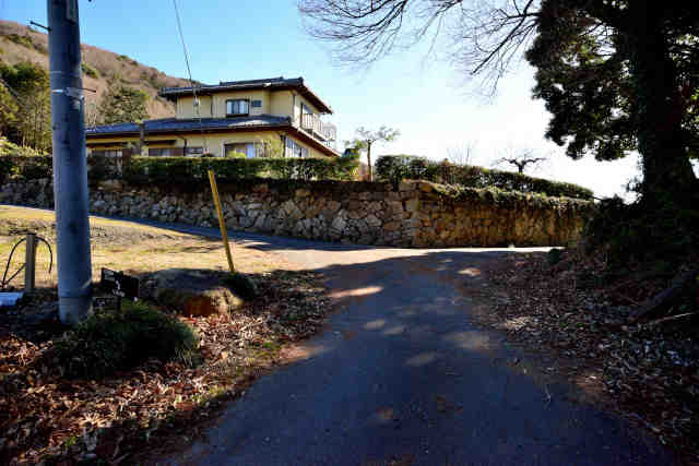 �V���R�[�X����