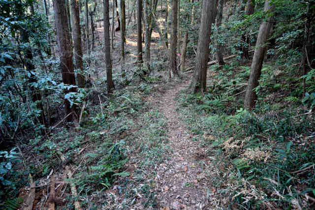 �V���R�[�X��