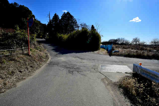 �V���R�[�X�s���H