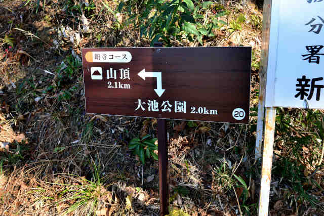 �V���R�[�X�o�R���ē��W