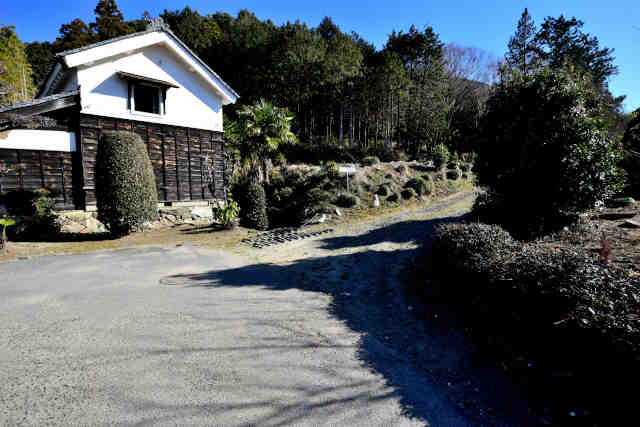 �V���R�[�X�E��