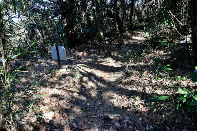 �V���R�[�X�R���R�[�X����