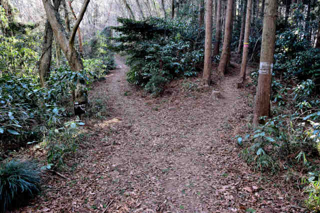 �R���P�R���O����