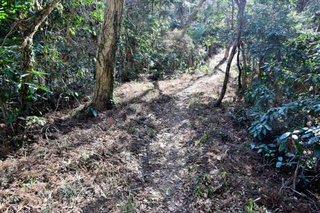 �R���P������