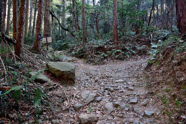 �R���P�R���Q����