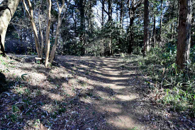 �R���P���Ζ����̐X�L�ꍇ��