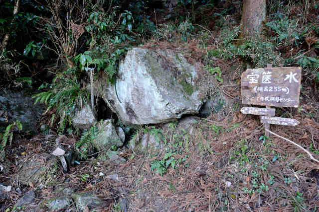 �R���P��⸖���