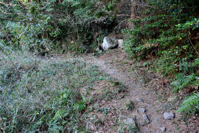 �R���P��⸖����O