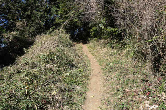 �R���P��⸖�����