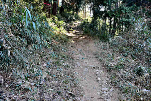 �R���P�o�R����