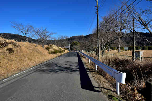 �R���P��r����