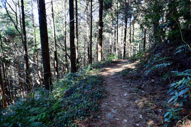 �R���P�R��