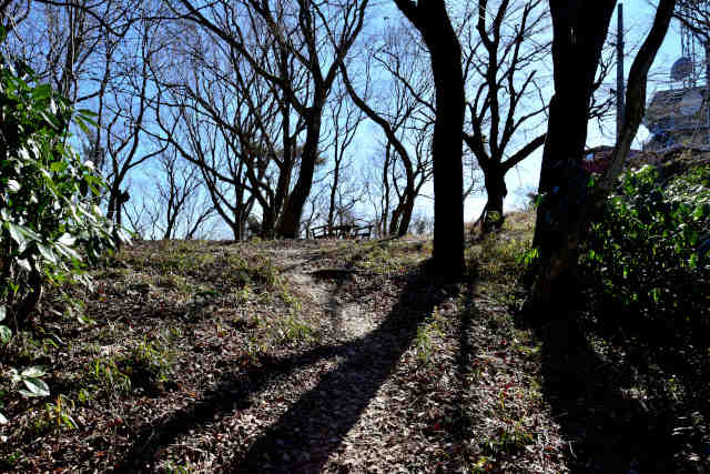 �R���P�R���O