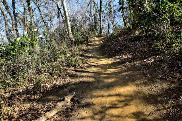 �R���P����