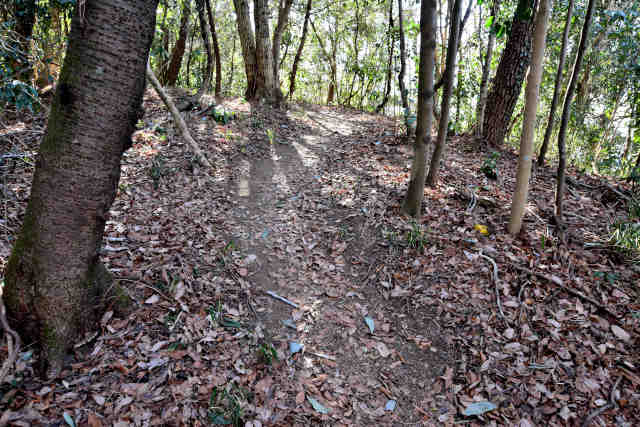 �R���P�����ȃs�[�N