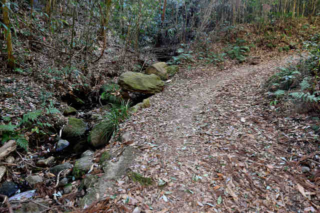 �R���P��e