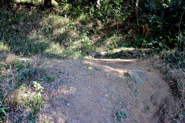 �R���P����