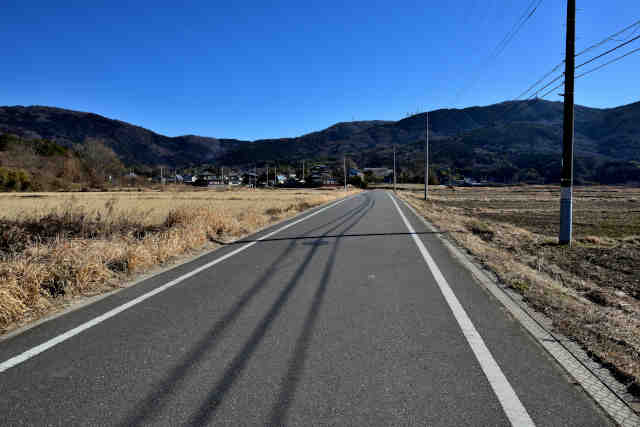 �R���P���c