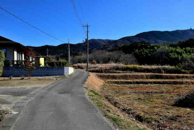 �R���P�I�c