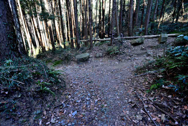 �R���P�����H��