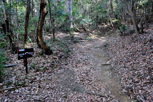 �R���P�J�[�u