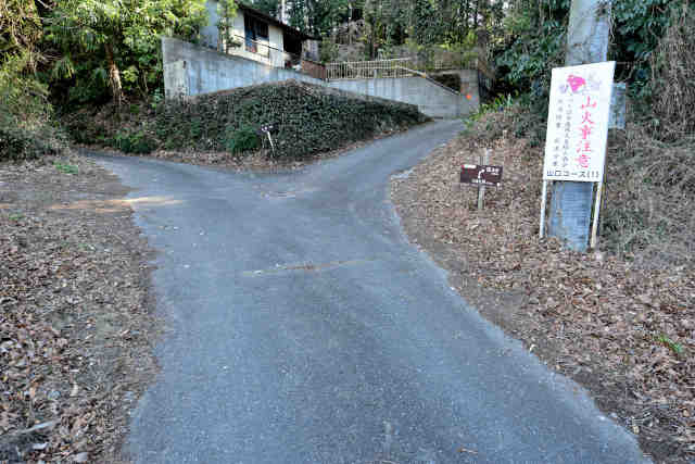 �R���P�o�R��