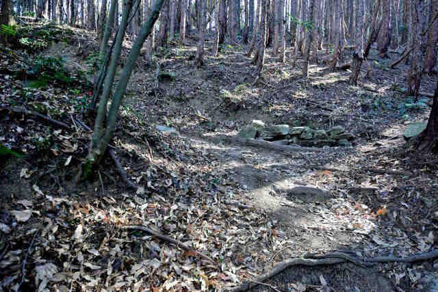 �R���P����