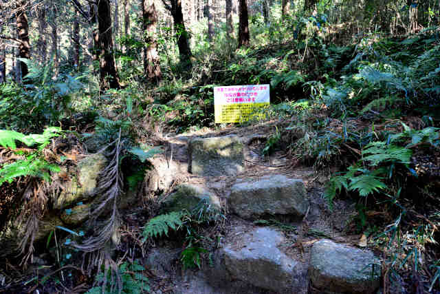 �R���P���R�[�i�[